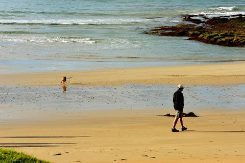 Ultimate Reverse Direction - 12 Apostles, Great Ocean Road - Small Group Tour - Accommodation Batemans Bay 6