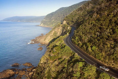 Ultimate Reverse Direction - 12 Apostles, Great Ocean Road - Small Group Tour - Accommodation Batemans Bay 10
