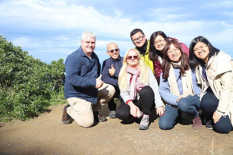 Ultimate Reverse Direction - 12 Apostles, Great Ocean Road - Small Group Tour - Accommodation Batemans Bay 11