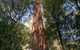 Ultimate Reverse Direction - 12 Apostles, Great Ocean Road - Small Group Tour - thumb 3