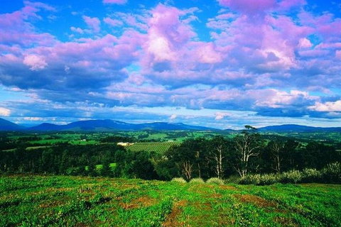 CHEVY CONVERTIBLE Package For 4 -Wine Lunch Cheese & Chocolate From Yarra Valley - Accommodation Batemans Bay 7
