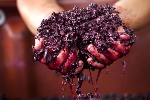 CHEVY CONVERTIBLE Package For 4 -Wine Lunch Cheese & Chocolate From Yarra Valley - Accommodation Batemans Bay 5