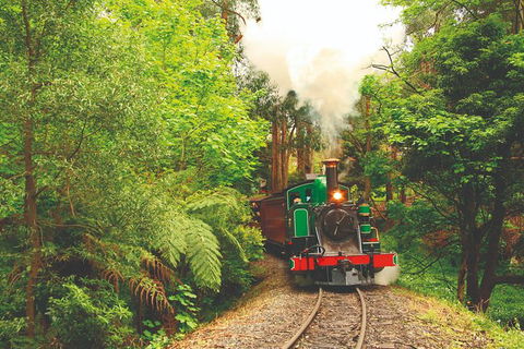Half Day Puffing Billy Train Journey From Melbourne - Accommodation Batemans Bay 2