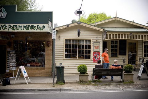Half Day Puffing Billy Train Journey From Melbourne - Accommodation Batemans Bay 10