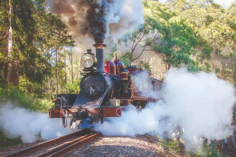 Half Day Puffing Billy Train Journey From Melbourne - Accommodation Batemans Bay 4