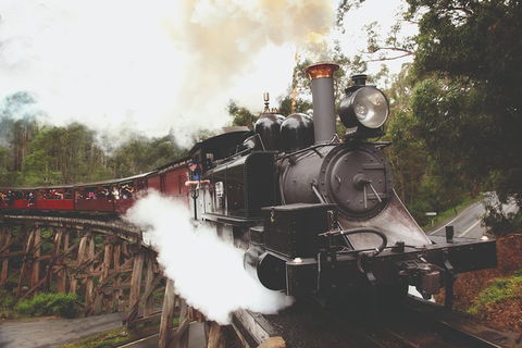 Half Day Puffing Billy Train Journey From Melbourne - Accommodation Batemans Bay 3
