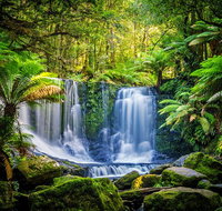 Day Tour in Mt. Field Mt. Wellington Bonorong Wildlife Sanctuary and Richmond - Accommodation Batemans Bay