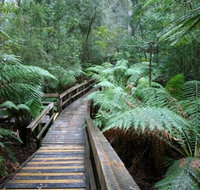 Small-group DayTour from Hobart Hastings Caves Huon Valley and Tahune AirWalk - Accommodation Batemans Bay