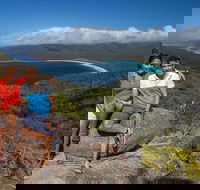 Full-Day Tour One-Way from Launceston to Hobart with Freycinet National Park - Accommodation Batemans Bay