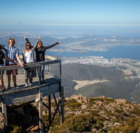 Mt Field National Park Active Day-Trip Including Bonorong and Mt Wellington - Accommodation Batemans Bay