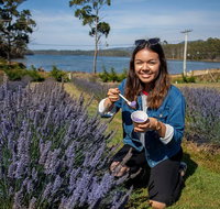 Port Arthur and Lavender Farm Active Day Tour - Accommodation Batemans Bay