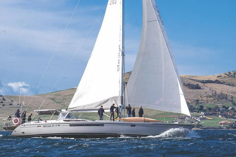 Half-Day Sailing On The Derwent River From Hobart - Accommodation Batemans Bay 5