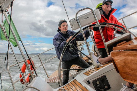 Half-Day Sailing On The Derwent River From Hobart - Accommodation Batemans Bay 4