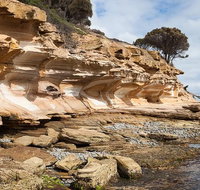 Maria Island premium private photo-oriented day tour from Hobart - Accommodation Batemans Bay