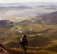 Mt Wellington Half Day Guided Summit Hike - Accommodation Batemans Bay