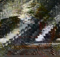 West Coast Wilderness Railway River and Rainforest from Strahan - Accommodation Batemans Bay