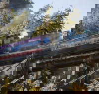 West Coast Wilderness Railway Queenstown Explorer from Strahan - Accommodation Batemans Bay