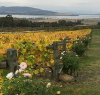 Mona and Wine Experience Tour - Accommodation Batemans Bay