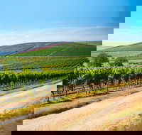 Full Day Tamar Valley Wine Tour - Accommodation Batemans Bay