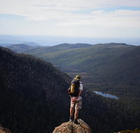 Mount Field National Park - Tarn Shelf  Russell Falls - Guided Hiking Tour - Accommodation Batemans Bay