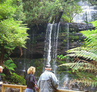 Mt Field National Park and Russell Falls from Hobart - Accommodation Batemans Bay