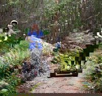 Hollybank Wilderness Adventures - Segway Tour - Accommodation Batemans Bay