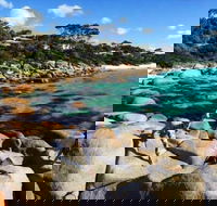 4-Day Tasmania East Coast Adventure from Launceston to Hobart Including Bay of Fires Wineglass Bay Bruny Island and Port Arthu - Accommodation Batemans Bay