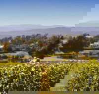 Josef Chromy Wines Winery Tour Including Tasting and Lunch - Accommodation Batemans Bay