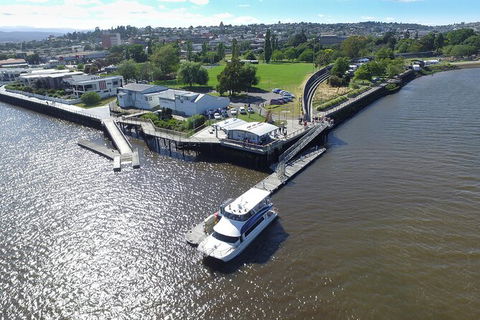 Batman Bridge 4 Hour Luncheon Cruise Including Sailing Into The Cataract Gorge - Accommodation Batemans Bay 8