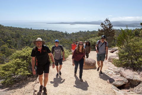 Active Day Tour One-Way From Hobart To Launceston With Wineglass Bay - Accommodation Batemans Bay 1