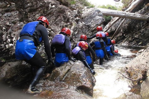 Half Day Cradle Mountain Canyoning: Lost World Canyon - Accommodation Batemans Bay 1