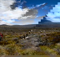 6-Day Overland Track PhotoTour - Accommodation Batemans Bay