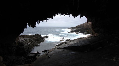 Kangaroo Island In A Day Tour From Adelaide - Accommodation Batemans Bay 20