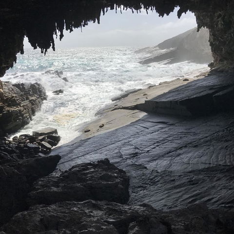 Kangaroo Island In A Day Tour From Adelaide - Accommodation Batemans Bay 5