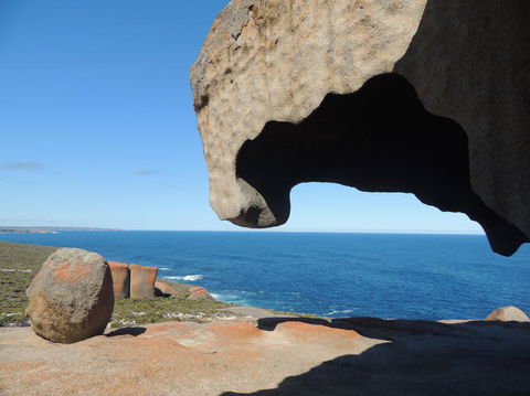 Kangaroo Island In A Day Tour From Adelaide - Accommodation Batemans Bay 13