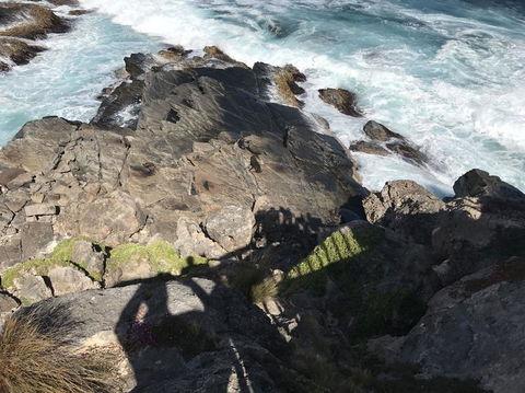 Kangaroo Island In A Day Tour From Adelaide - Accommodation Batemans Bay 3