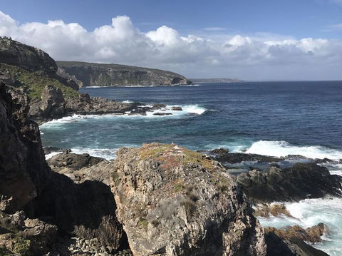 Kangaroo Island In A Day Tour From Adelaide - Accommodation Batemans Bay 4