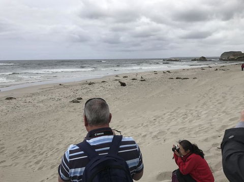 Kangaroo Island In A Day Tour From Adelaide - Accommodation Batemans Bay 10