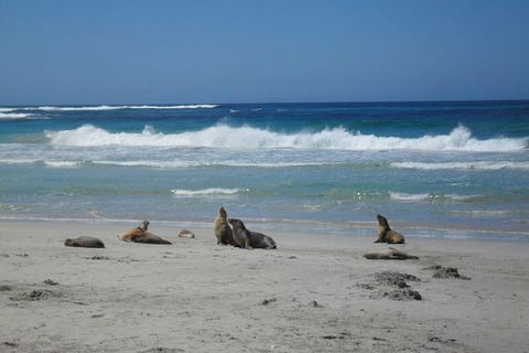 Kangaroo Island In A Day Tour From Adelaide - Accommodation Batemans Bay 0