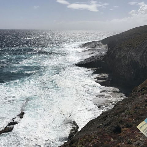 Kangaroo Island In A Day Tour From Adelaide - Accommodation Batemans Bay 6
