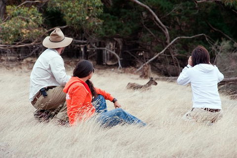 Small-Group Kangaroo Island 4WD Tour From Adelaide - Accommodation Batemans Bay 6