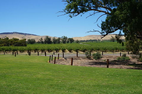 Barossa Valley With Hahndorf Tour From Adelaide - Accommodation Batemans Bay 3