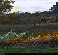 Barossa Valley with Hahndorf Tour from Adelaide - Accommodation Batemans Bay