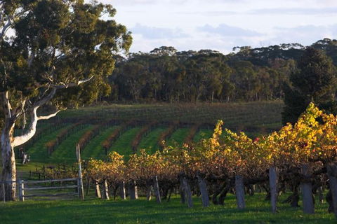 Barossa Valley With Hahndorf Tour From Adelaide - Accommodation Batemans Bay 0