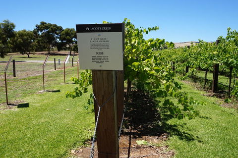 Barossa Valley With Hahndorf Tour From Adelaide - Accommodation Batemans Bay 5