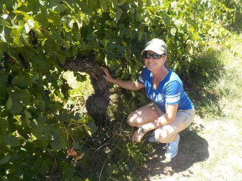 Barossa Valley Wineries Tour With Tastings And Lunch From Adelaide - Accommodation Batemans Bay 11