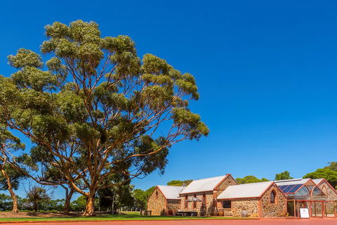 McLaren Vale And Glenelg Wine Tasting And Sightseeing (Half-day Afternoon) - Accommodation Batemans Bay 2