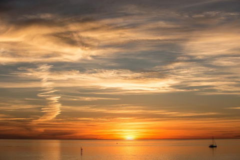 McLaren Vale And Glenelg Wine Tasting And Sightseeing (Half-day Afternoon) - Accommodation Batemans Bay 4