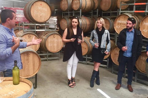 Mclaren Vale Luxury Full Day Small Group Wine Tour - Accommodation Batemans Bay 8