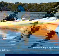 Adelaide Dolphin Sanctuary and Ships Graveyard Kayak Tour - Accommodation Batemans Bay